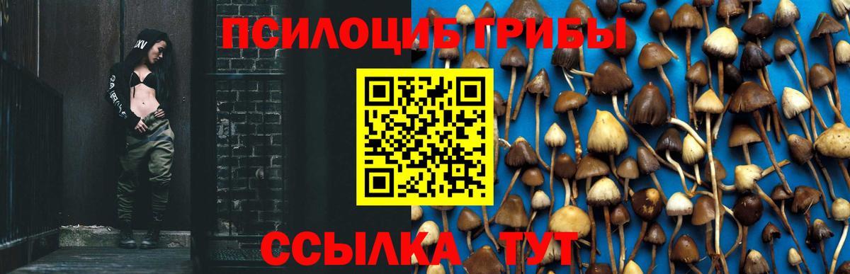 Галлюциногенные грибы ЛСД  Вход с VPN  Волгоград  Галлюциногенные грибы ЛСД 